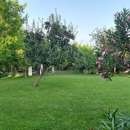 Apartment Oaza Relax Koper Zewnętrze zdjęcie